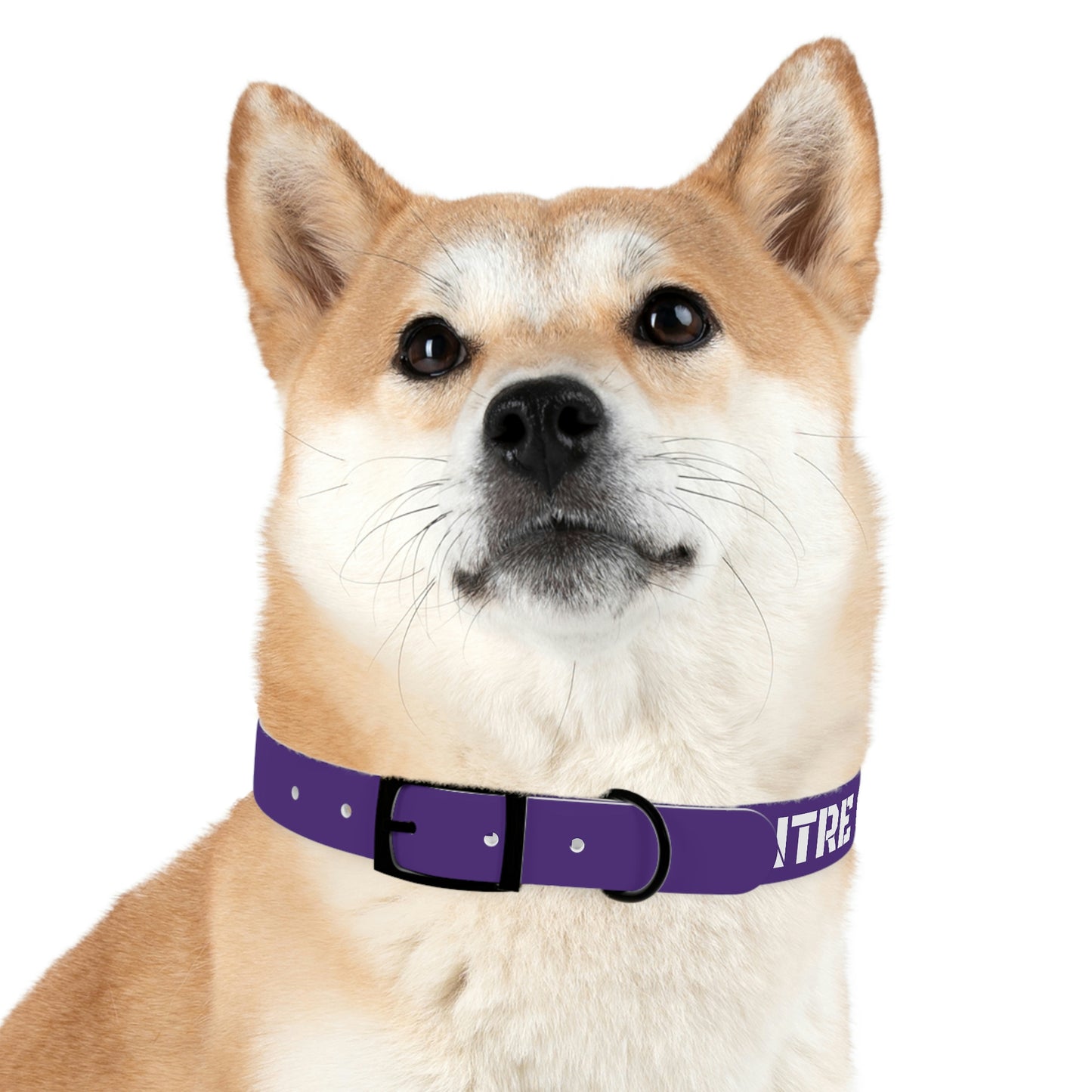 RAM REC CENTRE GUARD Dog Collar