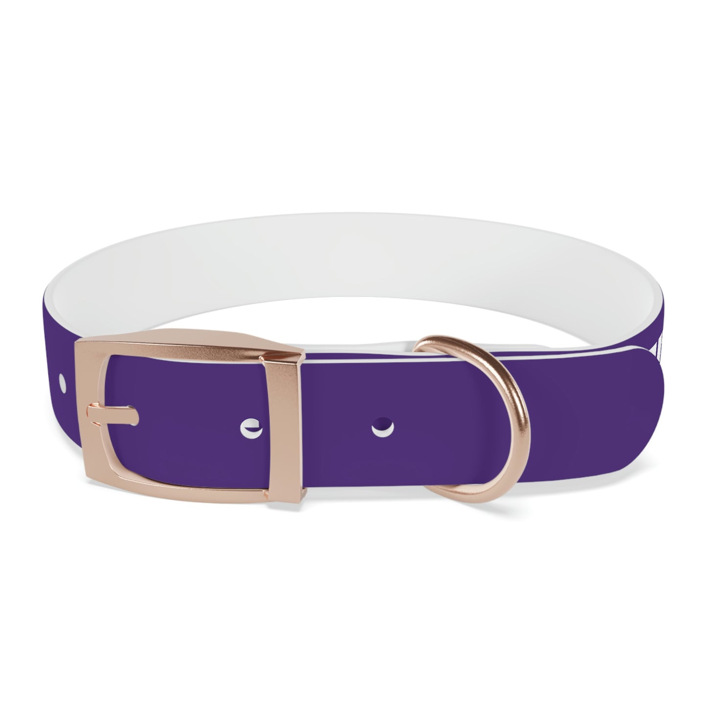 RAM REC CENTRE GUARD Dog Collar