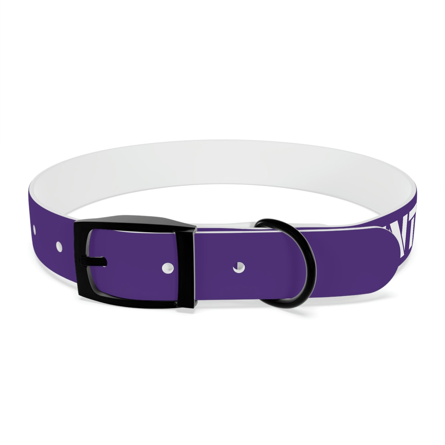 RAM REC CENTRE GUARD Dog Collar