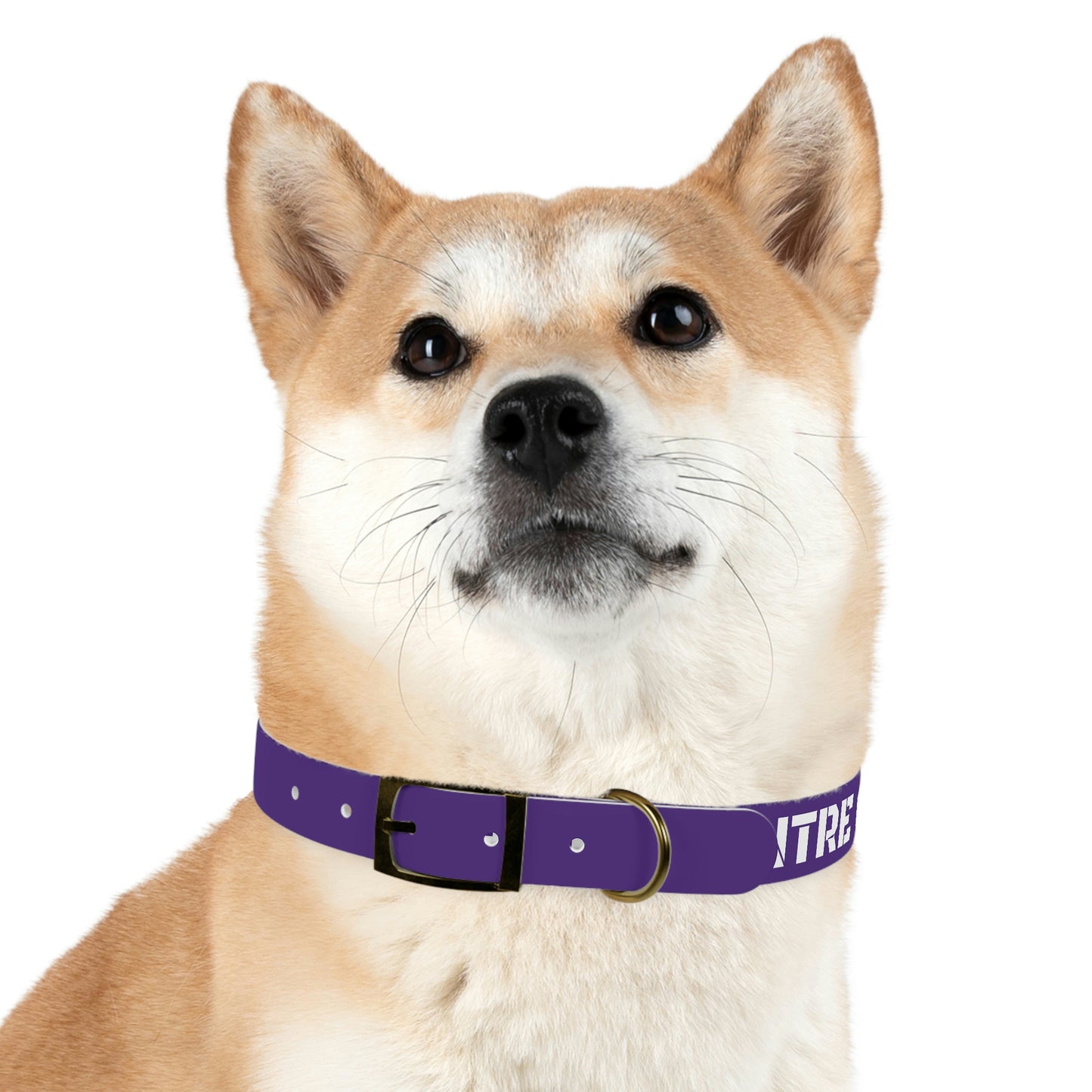 RAM REC CENTRE GUARD Dog Collar