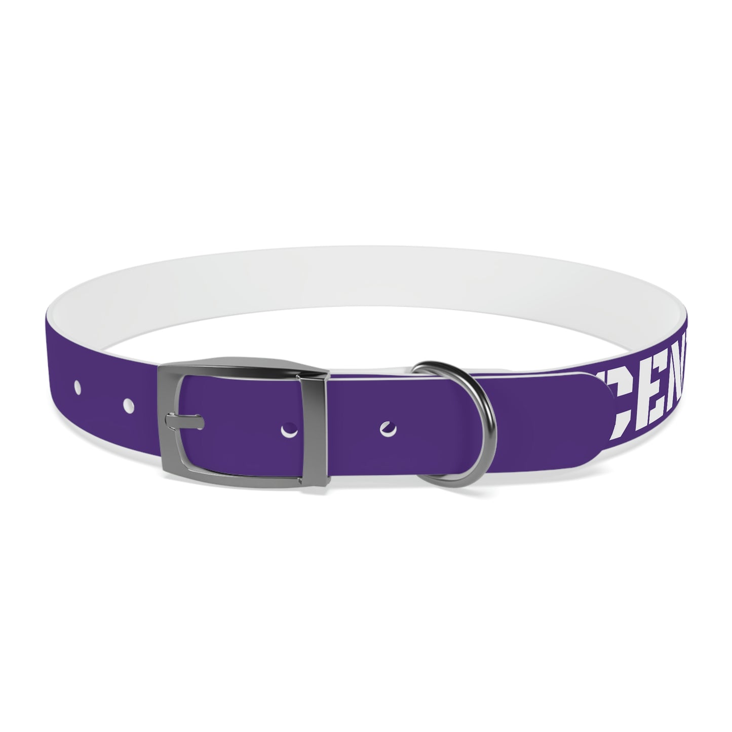 RAM REC CENTRE GUARD Dog Collar