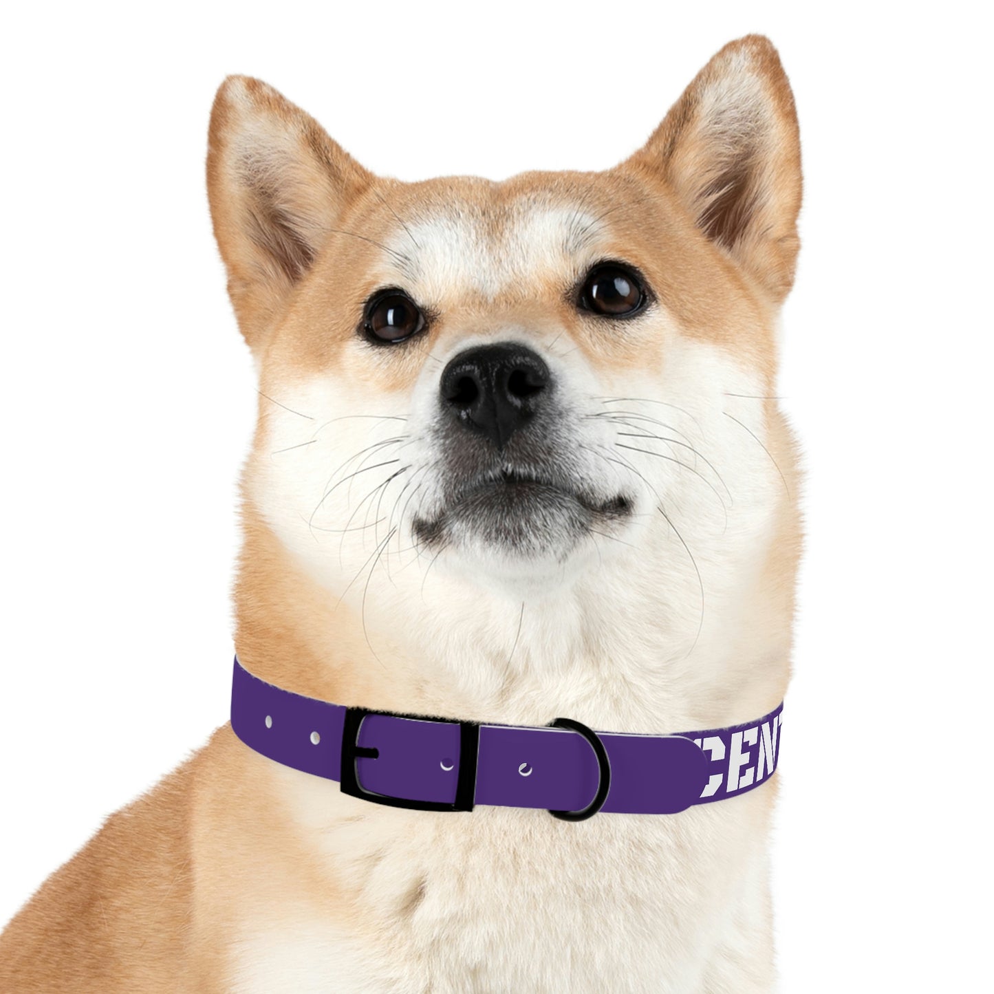 RAM REC CENTRE GUARD Dog Collar