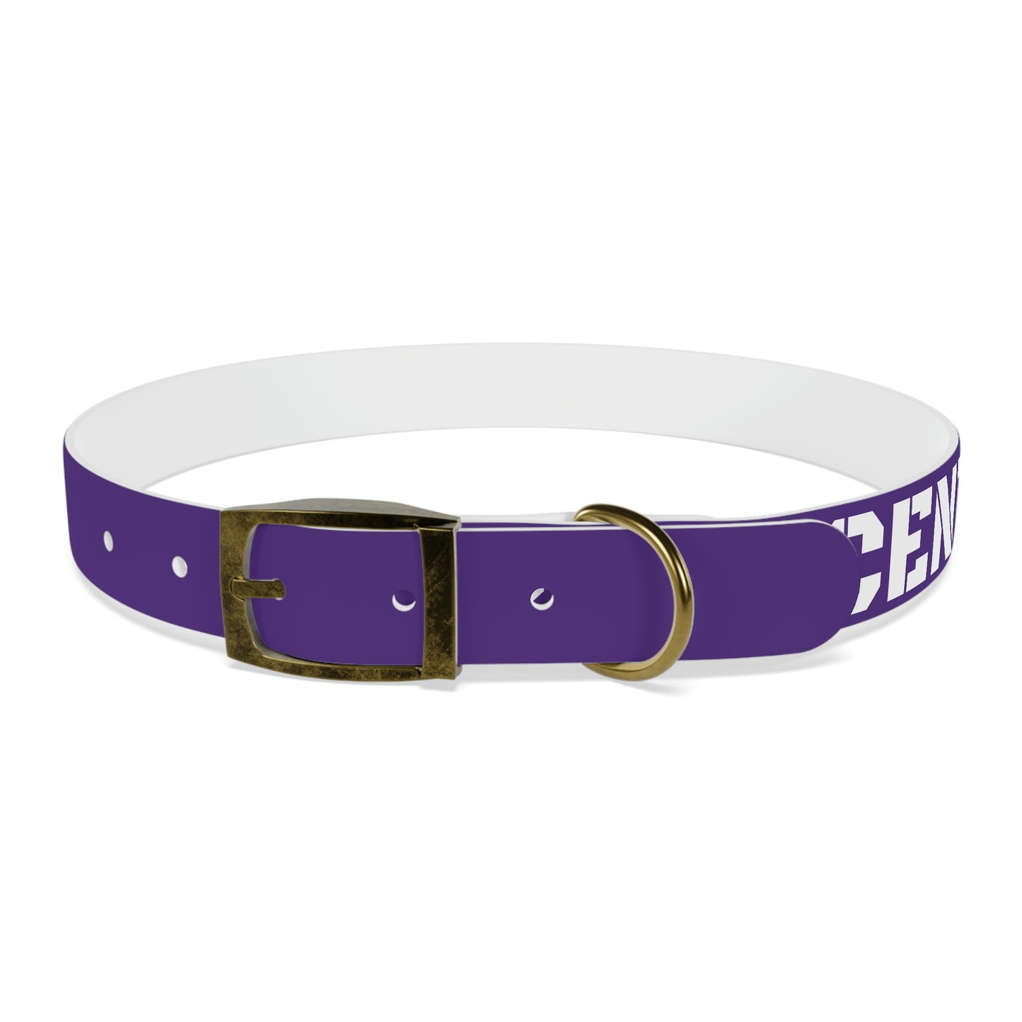 RAM REC CENTRE GUARD Dog Collar