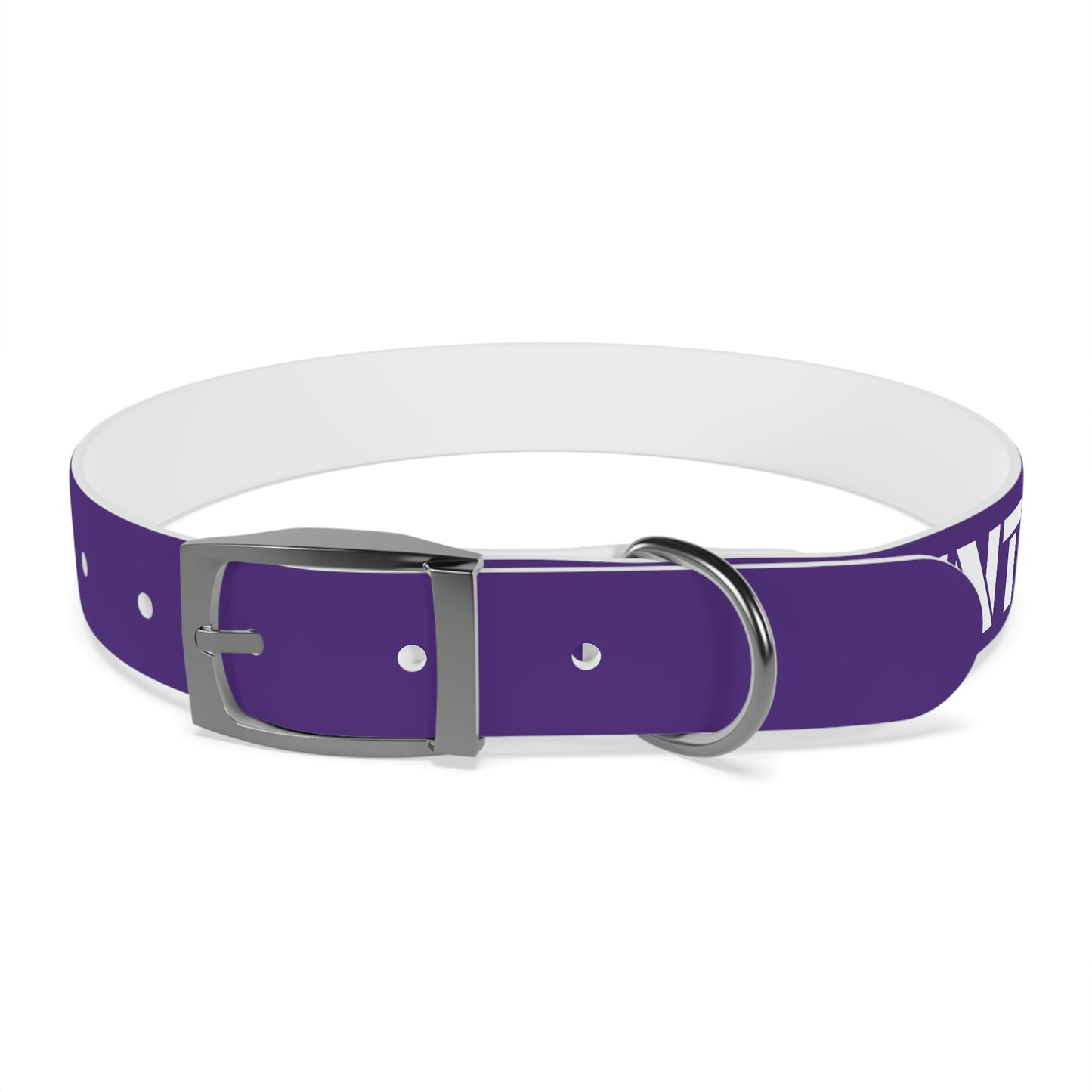 RAM REC CENTRE GUARD Dog Collar