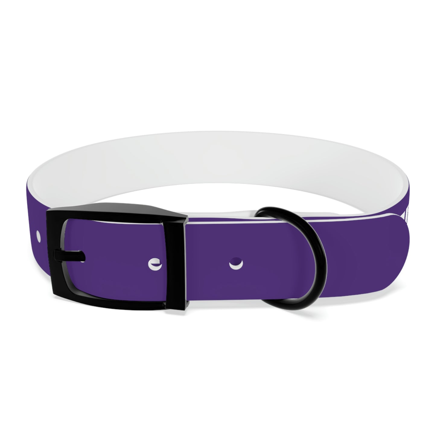 RAM REC CENTRE GUARD Dog Collar