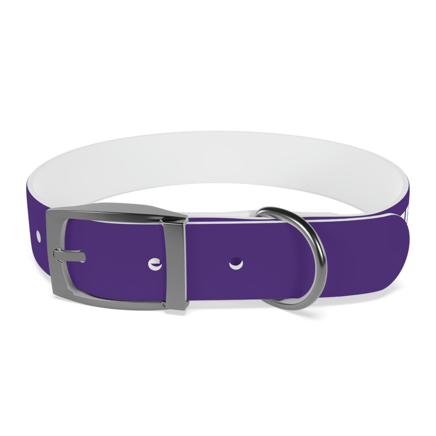 RAM REC CENTRE GUARD Dog Collar