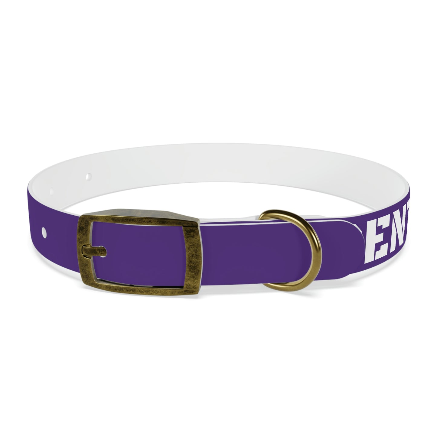 RAM REC CENTRE GUARD Dog Collar