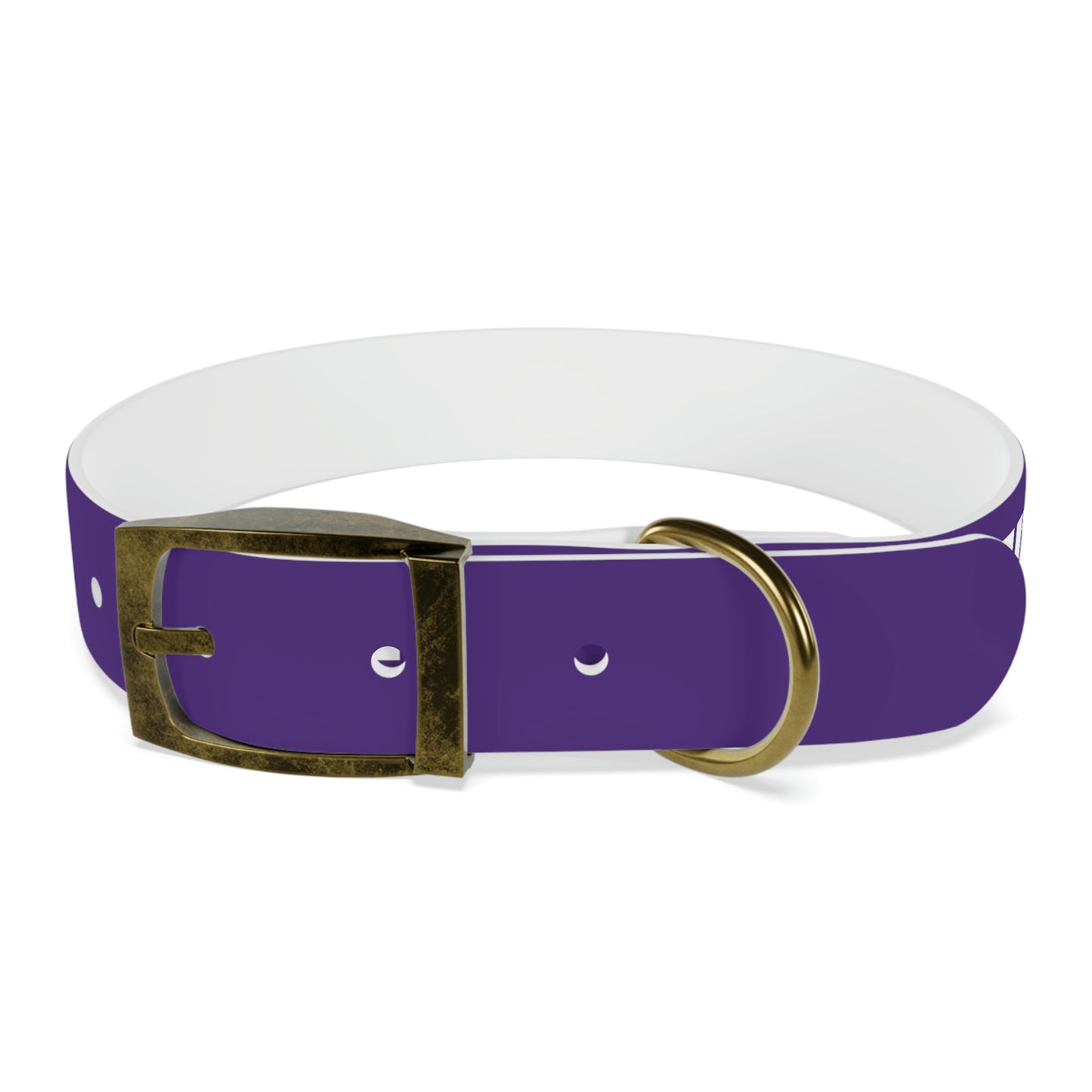 RAM REC CENTRE GUARD Dog Collar